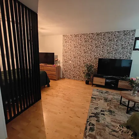 Nooa * 罗瓦涅米